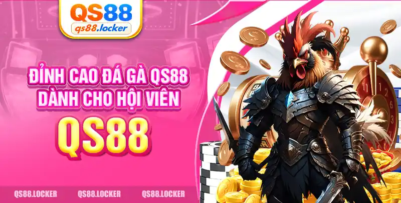Đỉnh cao đá gà QS88 dành cho hội viên